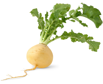 combien de minutes pour cuire les navets