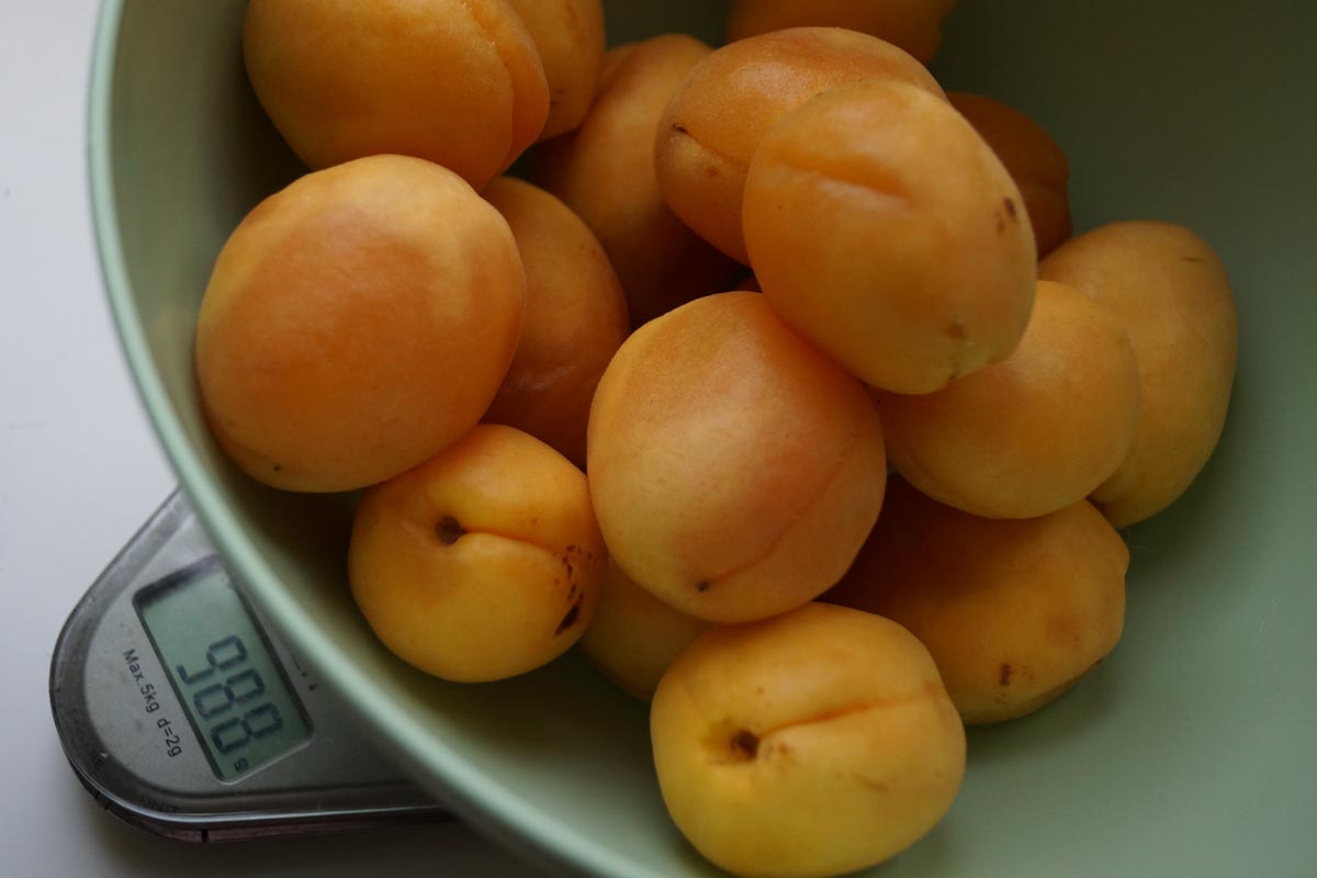 abricots
